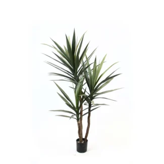 BLUE AGAVE TREE | TOPIARYTREE.NET