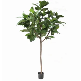 9.5' PTD GIANT TRUNK BRAZILIAN FIDDLE LEAF TREE W/135LVS