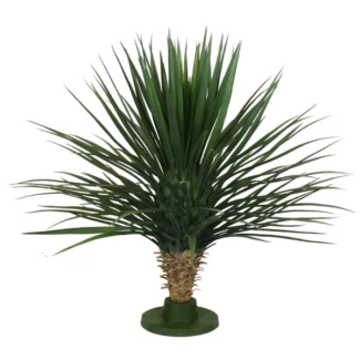 GIANT PINEAPPLE YUCCA | TOPIARYTREE.NET