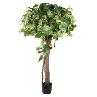 5' PTD CHILEAN GRAPE PLANT | TOPIARYTREE.NET