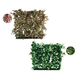 CHILEAN GRAPE PLANT HEDGE | TOPIARYTREE.NET