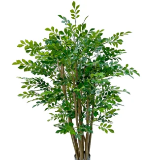 4' MURRAYA TREE | TOPIARYTREE.NET
