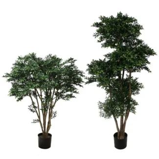 BLACK WILLOW TREE | TOPIARYTREE.NET