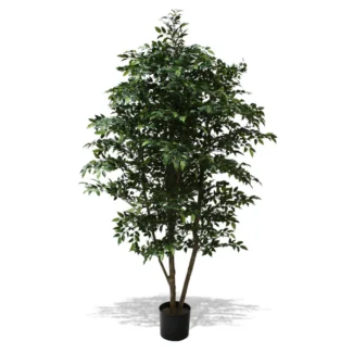 6' PTD MINI FICUS TREE W/6730LVS | TOPIARYTREE.NET