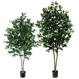 6' PTD RIVER OAK TREE W/944LVS | TOPIARYTREE.NET