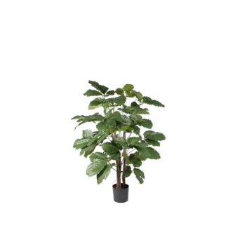4' PTD BRAZILIAN CHESTNUT TREE W/121LVS | TOPIARYTREE.NET