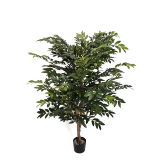 5' PTD ASIAN RUSCUS TREE W/1848LVS | TOPIARYTREE.NET