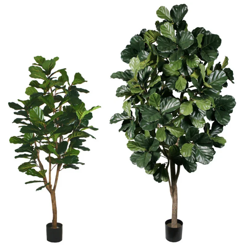 P1792_7e816d7a-1d16-4207-a593-d500ff522022_2000x