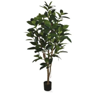 6' PTD RUBBER TREE W/225LVS (NEED FINAL ASSEMBLY) | TOPIARYTREE.NET