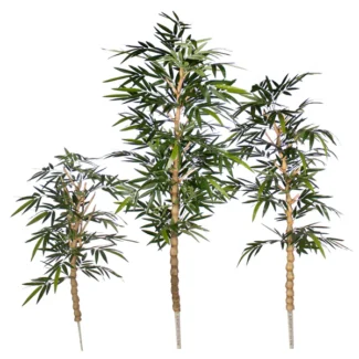 4', 5, 6' SINGLE BUDDA BAMBOO TREE SET OF 3 | TOPIARYTREE.NET