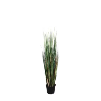 4' PTD MOUNTAIN GRASS | TOPIARYTREE.NET