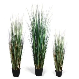 4' PTD MOUNTAIN GRASS | TOPIARYTREE.NET