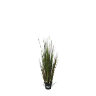 4' 5' 6' PTD ONION GRASS | TOPIARYTREE.NET