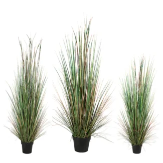 4' 5' 6' PTD ONION GRASS | TOPIARYTREE.NET
