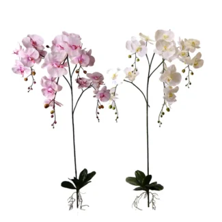 98" GIANT PHALEANOPSIS PLANT W/2FLS, 6LVS COLORS: LTPK, WH | TOPIARYTREE.NET