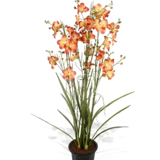 5' PTD VANDA ORCHID | TOPIARYTREE.NET