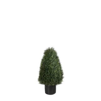 POND CYPRESS TOPIARY | TOPIARYTREE.NET