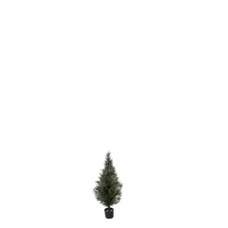 MINI CEDAR PINE TREE | TOPIARYTREE.NET