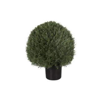 POND CYPRESS BALL TREE | TOPIARYTREE.NET