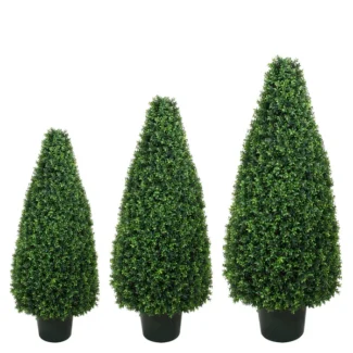 BASIL CONE TOPIARY | TOPIARYTREE.NET