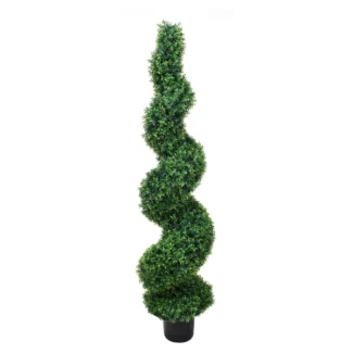 6' PTD SPIRAL BASIL TREE | TOPIARYTREE.NET