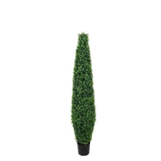5' PTD BASIL TREE TOWER | TOPIARYTREE.NET