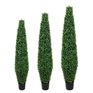 5' PTD BASIL TREE TOWER | TOPIARYTREE.NET