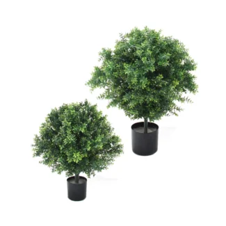 BASIL TOPIARY | TOPIARYTREE.NET