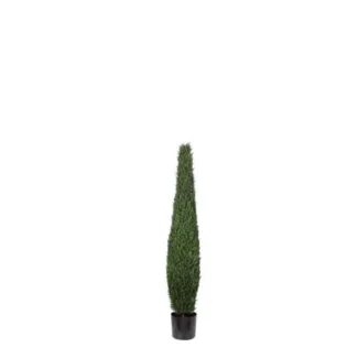 CYPRESS TREE TOWER | TOPIARYTREE.NET