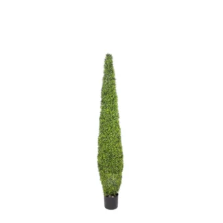 6.5' PTD PINE NEEDLE CONE | TOPIARYTREE.NET