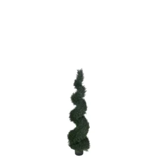 SPIRAL POND CYPRESS TREE | TOPIARYTREE.NET