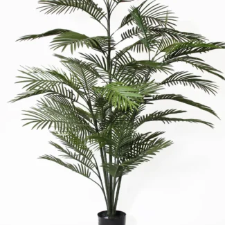 6' PTD ARECA PALM X7 | TOPIARYTREE.NET