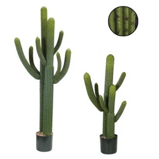 SILVER CACTI | TOPIARYTREE.NET