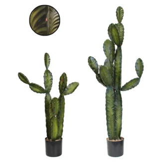 PTD CACTI | TOPIARYTREE.NET