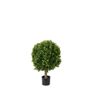 NEW BOXWOOD BALL | TOPIARYTREE.NET