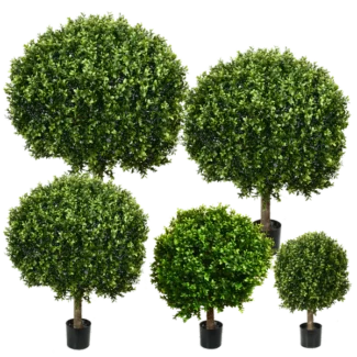 NEW BOXWOOD BALL | TOPIARYTREE.NET