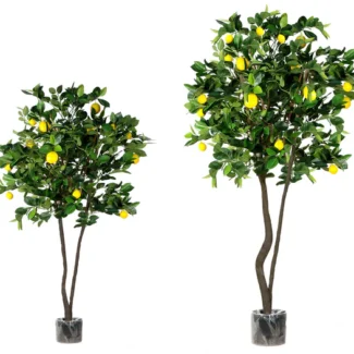 LEMON TREE