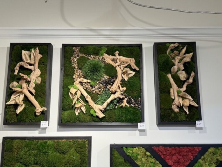 Three framed wall panels: the outer two with driftwood branches on moss, the centre with pebbles and ferny foliage