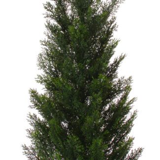 Cedar Cone Potted Topiary | TOPIARYTREE.NET