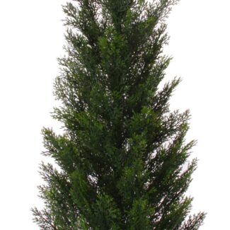 Cedar Cone Potted Topiary | TOPIARYTREE.NET