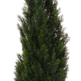 Cedar Cone potted green 1,5m | TOPIARYTREE.NET
