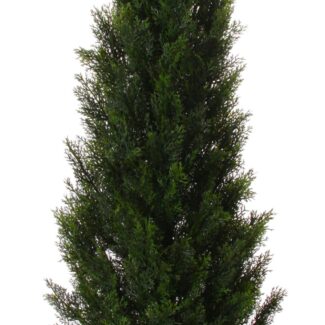 Cedar Cone potted green 1,8m | TOPIARYTREE.NET