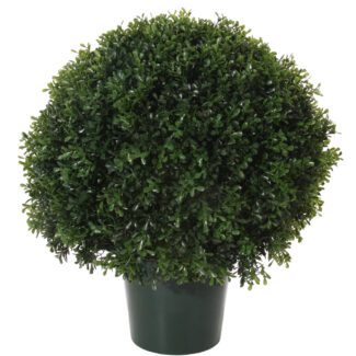 Boxwood ball d43cm | TOPIARYTREE.NET