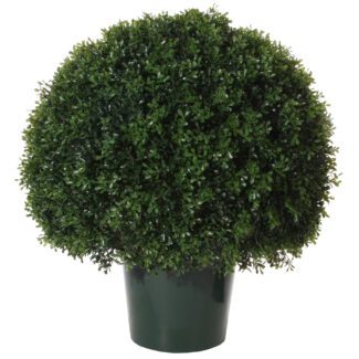 Boxwood ball d70cm | TOPIARYTREE.NET