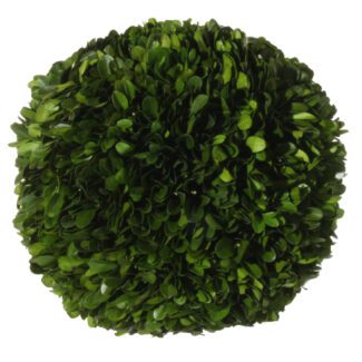 Boxwood ball preserved 20cm | TOPIARYTREE.NET