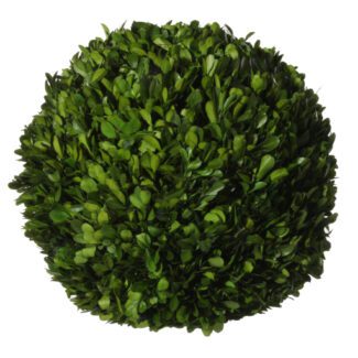 Boxwood ball preserved 30cm | TOPIARYTREE.NET
