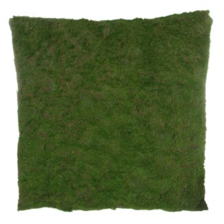 Moss blanket 100x100cm | TOPIARYTREE.NET