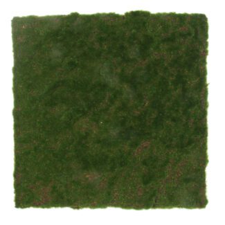 Moss wall plate 50x50x6cm | TOPIARYTREE.NET