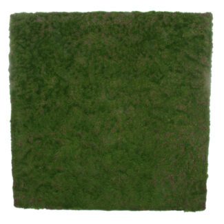 Moss wall plate 100x100x6cm | TOPIARYTREE.NET