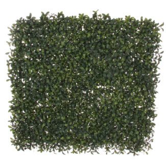 Boxwood plate green 53x53cm | TOPIARYTREE.NET